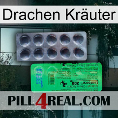 Drachen Kräuter new04